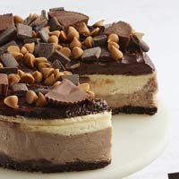 Zoomed in Image of Peanut Butter Cup Cheesecake