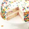 Zoomed in Image of Classic Confetti Cake