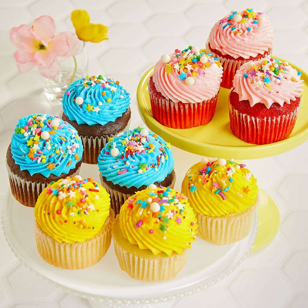 9pc Birthday Celebration Cupcakes